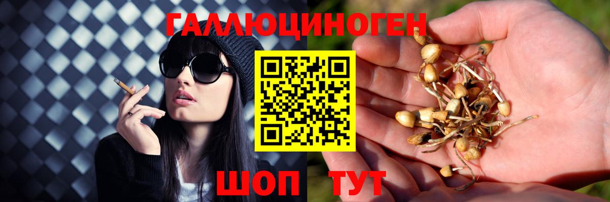 Артёмовский  Галлюциногенные грибы прущие грибы  купить закладку  Вход с VPN 